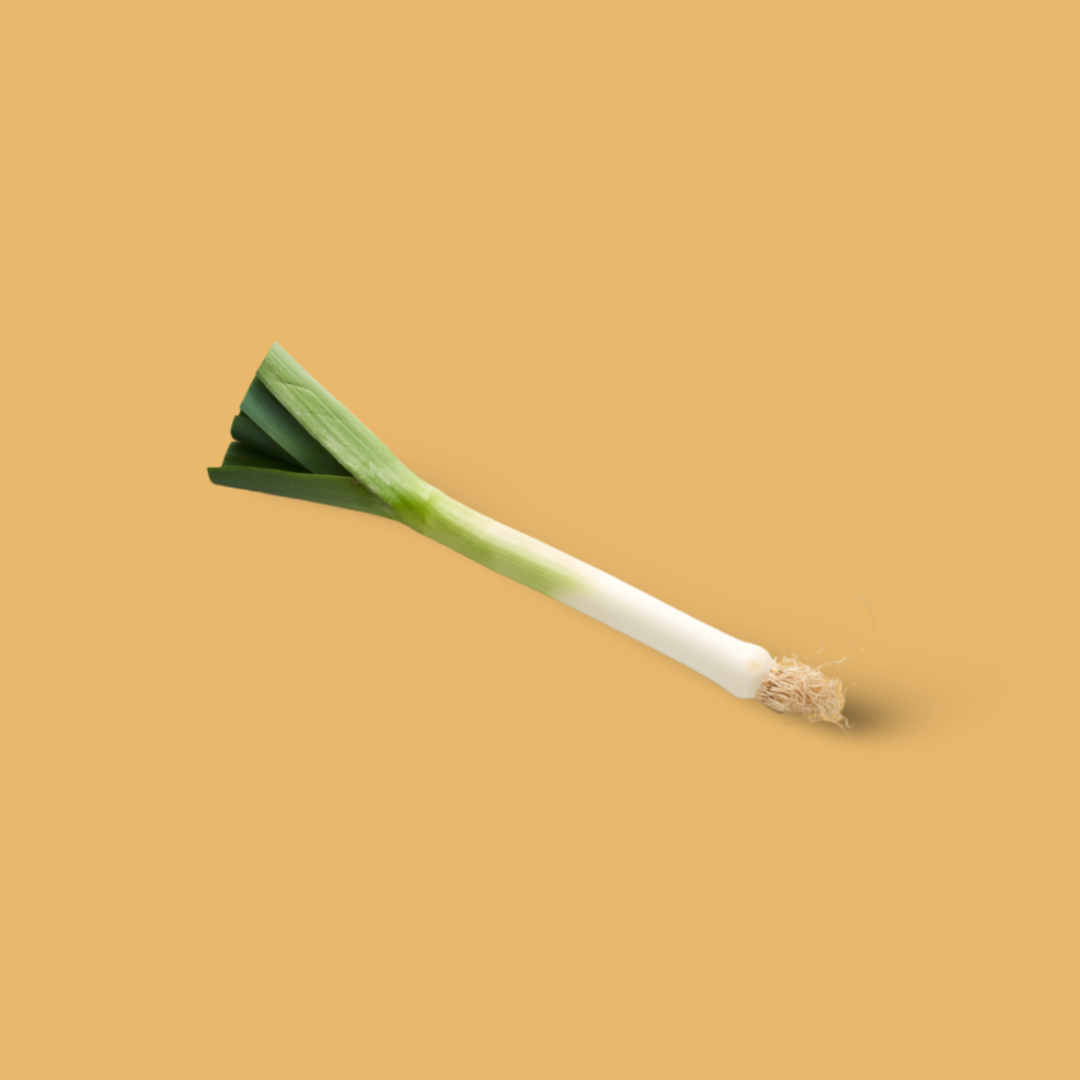 Leek