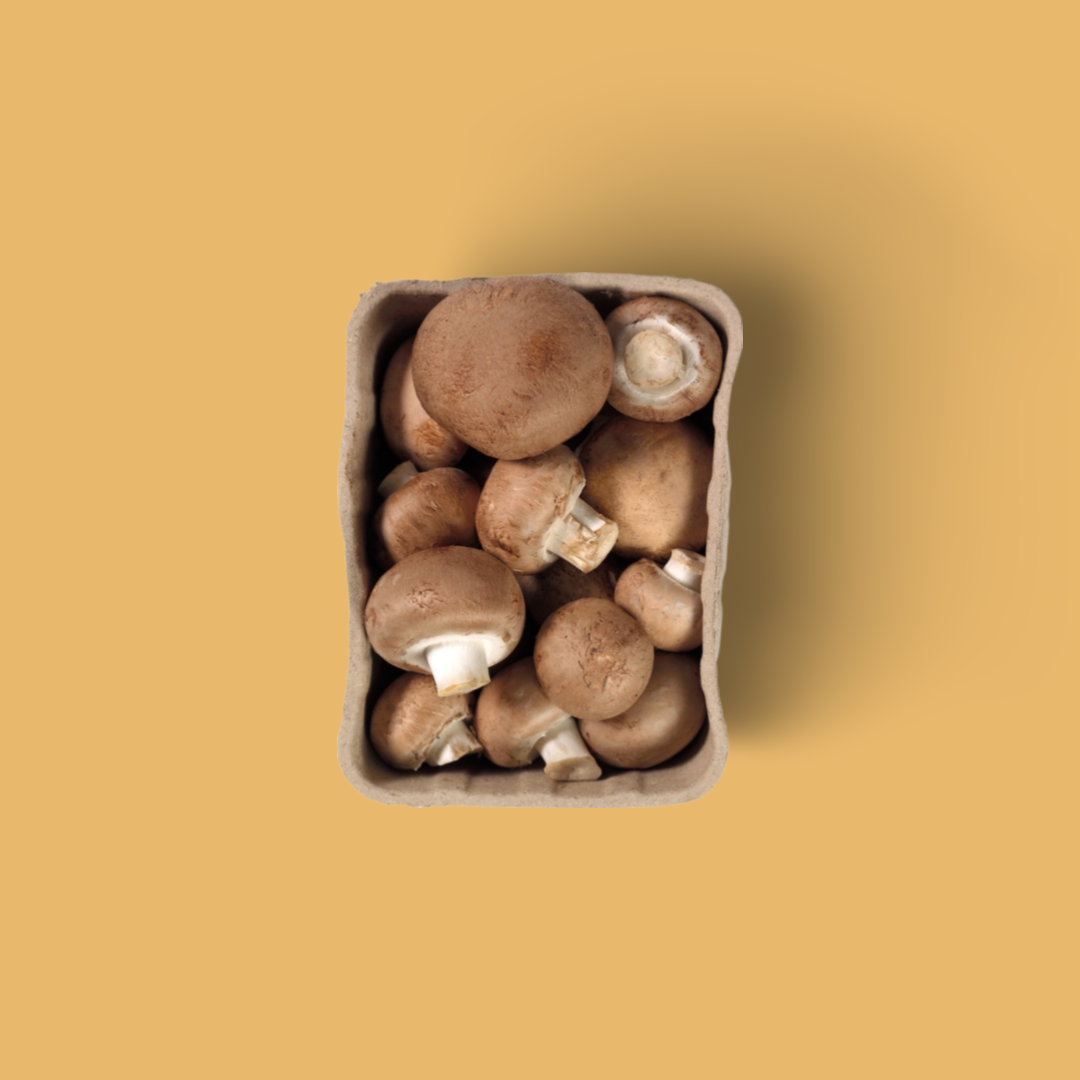 Mushrooms chestnut