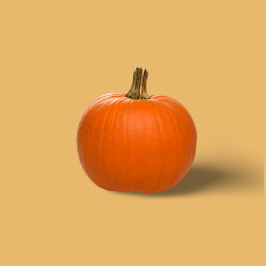 Pompoen Oranje