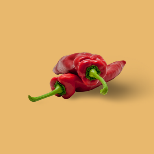 Puntpaprika