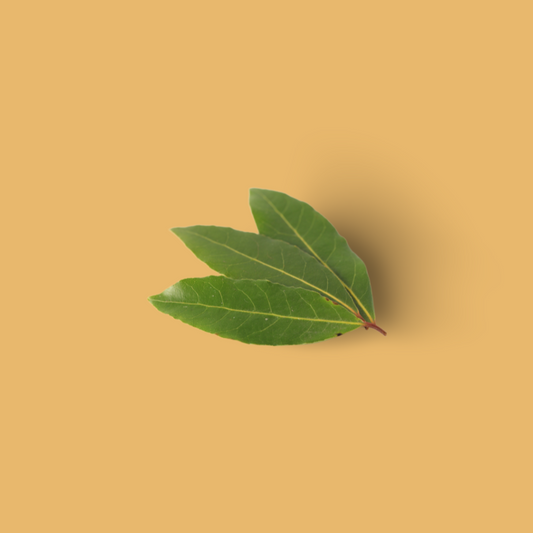 Laurel