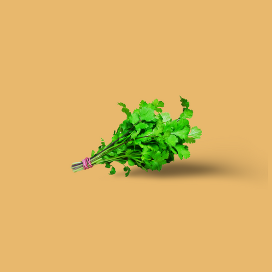 Coriander