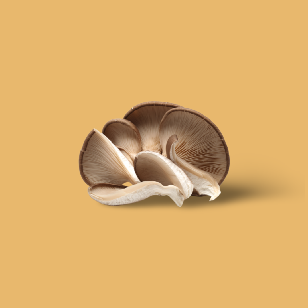 Oyster mushrooms