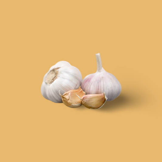 Witte Knoflook