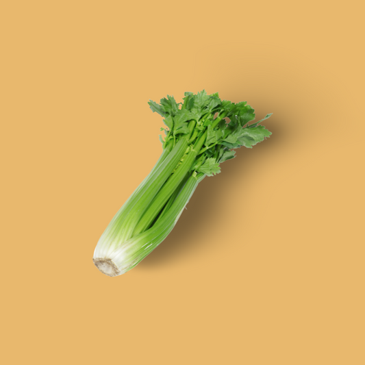 Bleekselderij