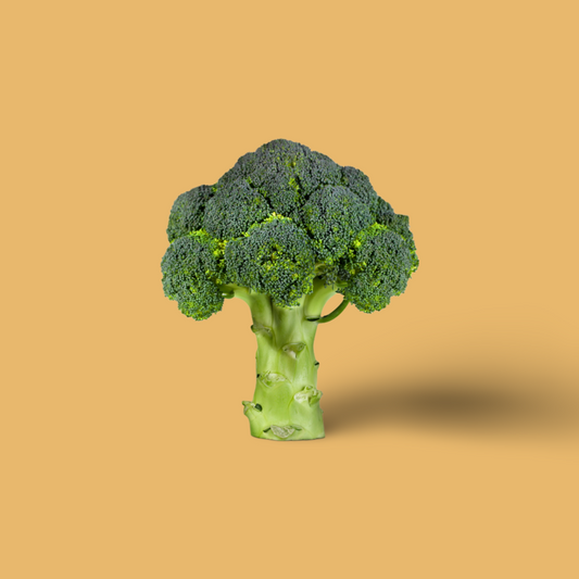 Broccoli