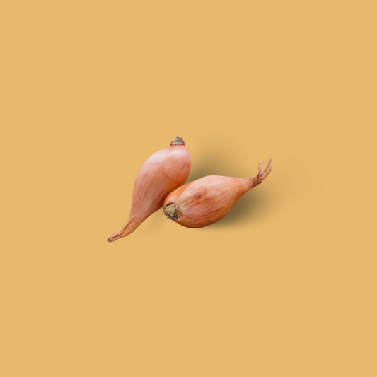 Sjalotten
