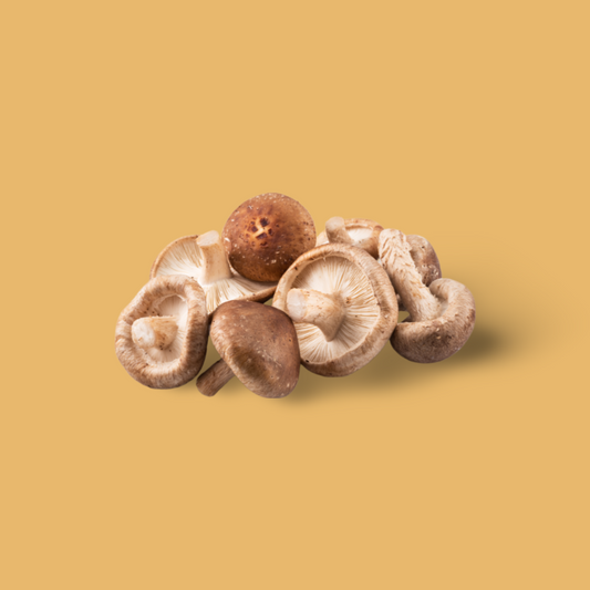 Shiitake