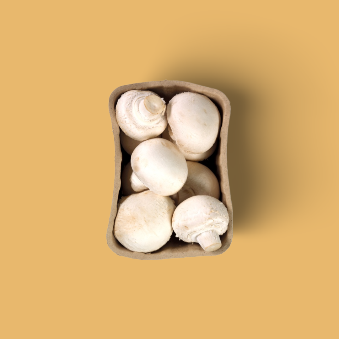 Mushrooms white
